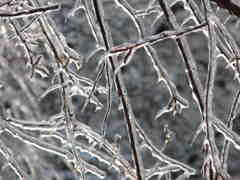 Freezing Precipitation 'Likely' on Friday for Holly Springs